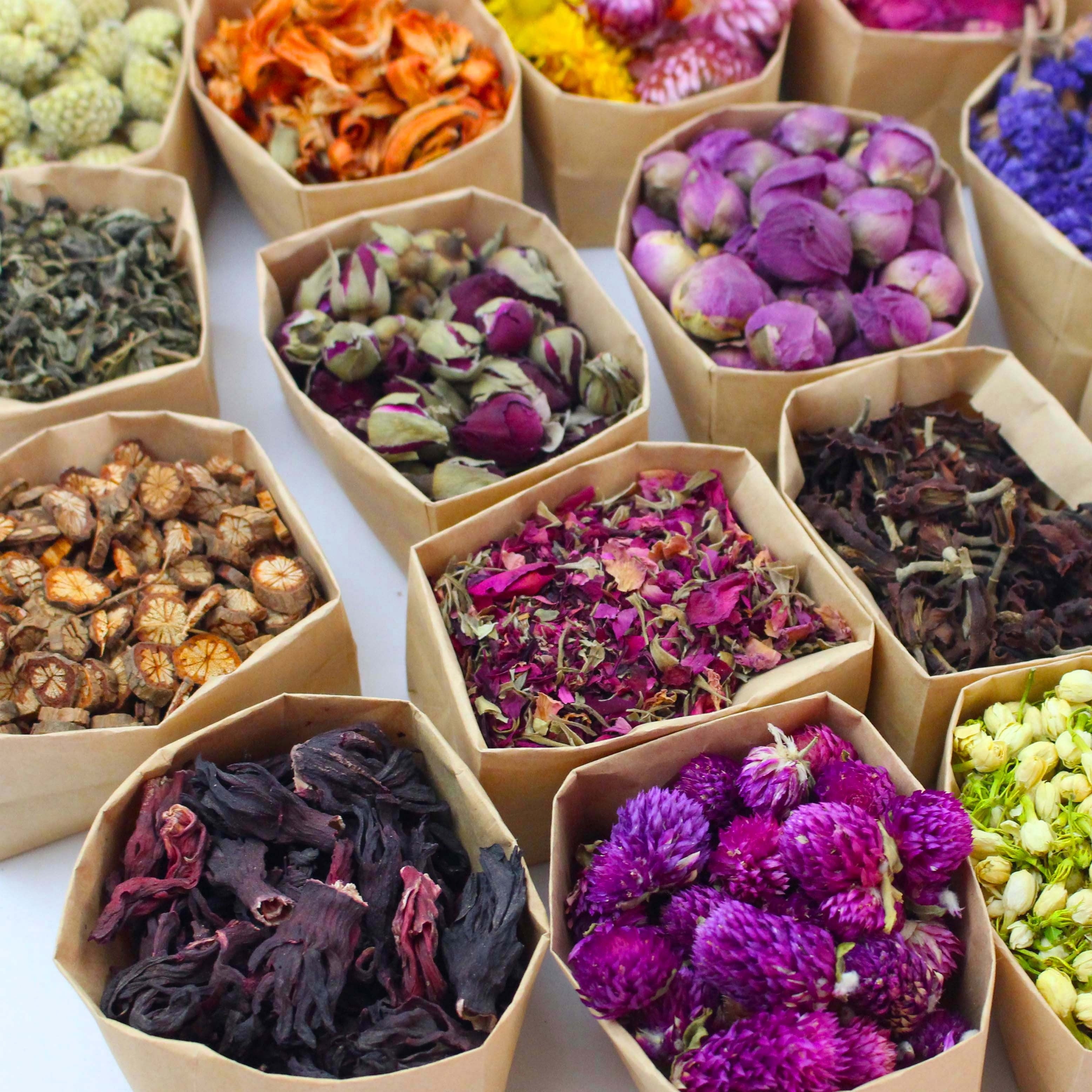 24 Packs Set - Dried Flowers Craft Kit - Dried Plant Kit, Witchcraft Kit, Resin Jewelry Making, DIY Candle, Seasonal Decor - Roses, Jasmine, Peony, Lavender, Forget-me-not, Etc - For Crafters & DIY Enthusiasts - Perfect Gift