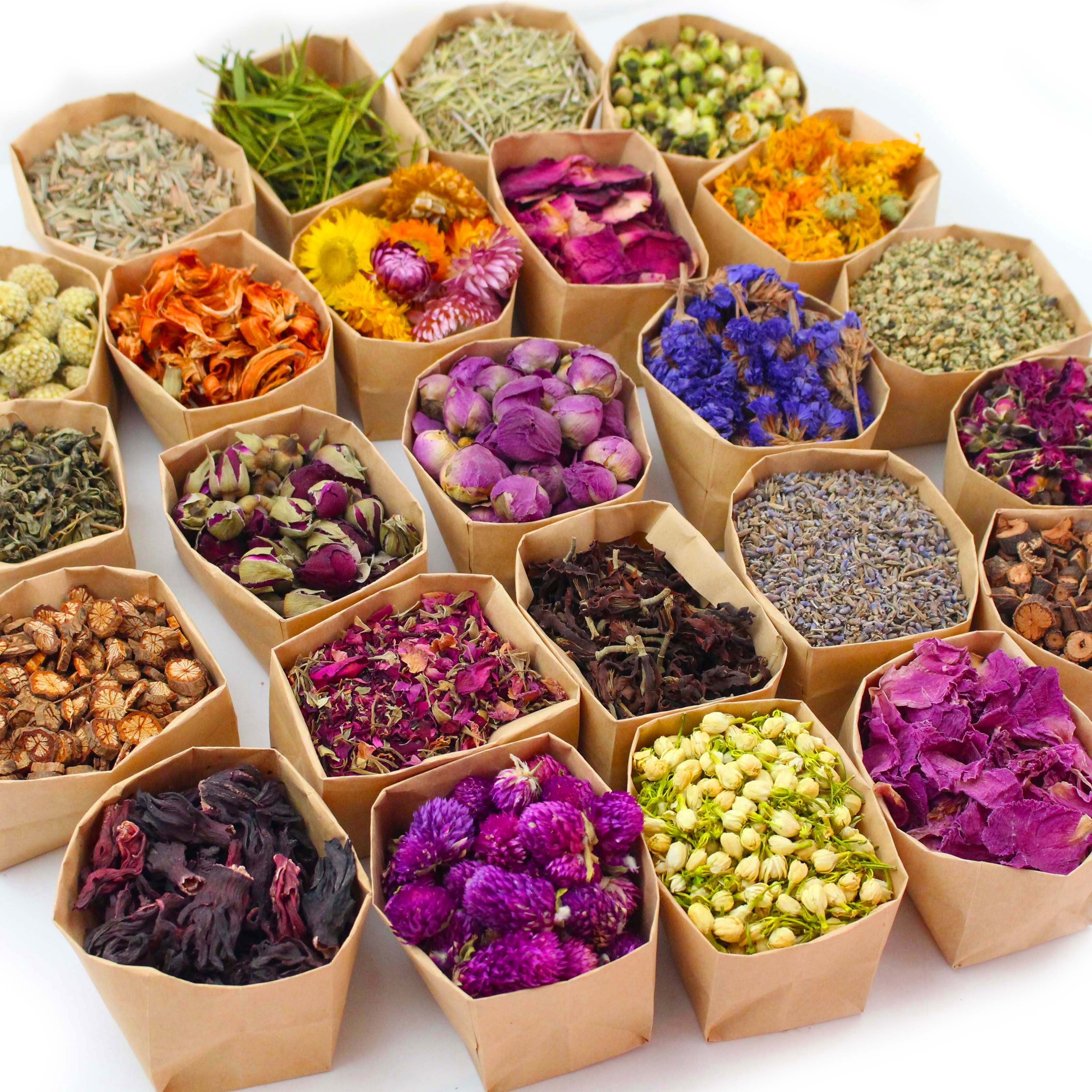 24 Packs Set - Dried Flowers Craft Kit - Dried Plant Kit, Witchcraft Kit, Resin Jewelry Making, DIY Candle, Seasonal Decor - Roses, Jasmine, Peony, Lavender, Forget-me-not, Etc - For Crafters & DIY Enthusiasts - Perfect Gift